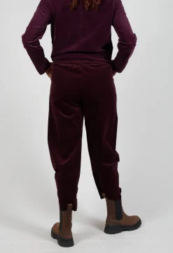 Alicia V Trousers in Uva