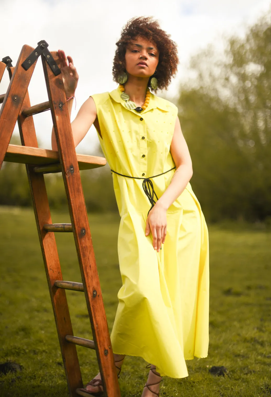 A-Line Dress in Sunflower