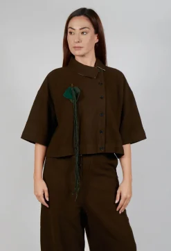 Asymmetric Point Collar Shirt in Brown