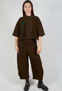 Asymmetric Point Collar Shirt in Brown