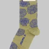 Basso O Socks in Olio