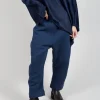 Cactus Trouser in Deep Blue