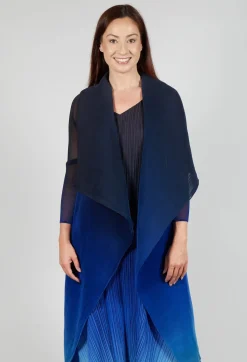 Collare Coat in Caviar Nightfall