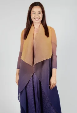 Collare Coat in Honey and Gold