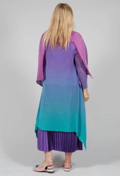 Collare Coat in Northern Lights