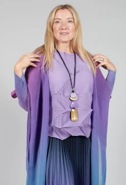 Collare Coat in Northern Lights