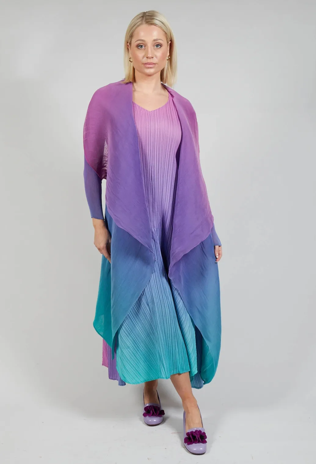 Collare Coat in Northern Lights