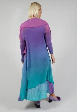 Collare Coat in Northern Lights