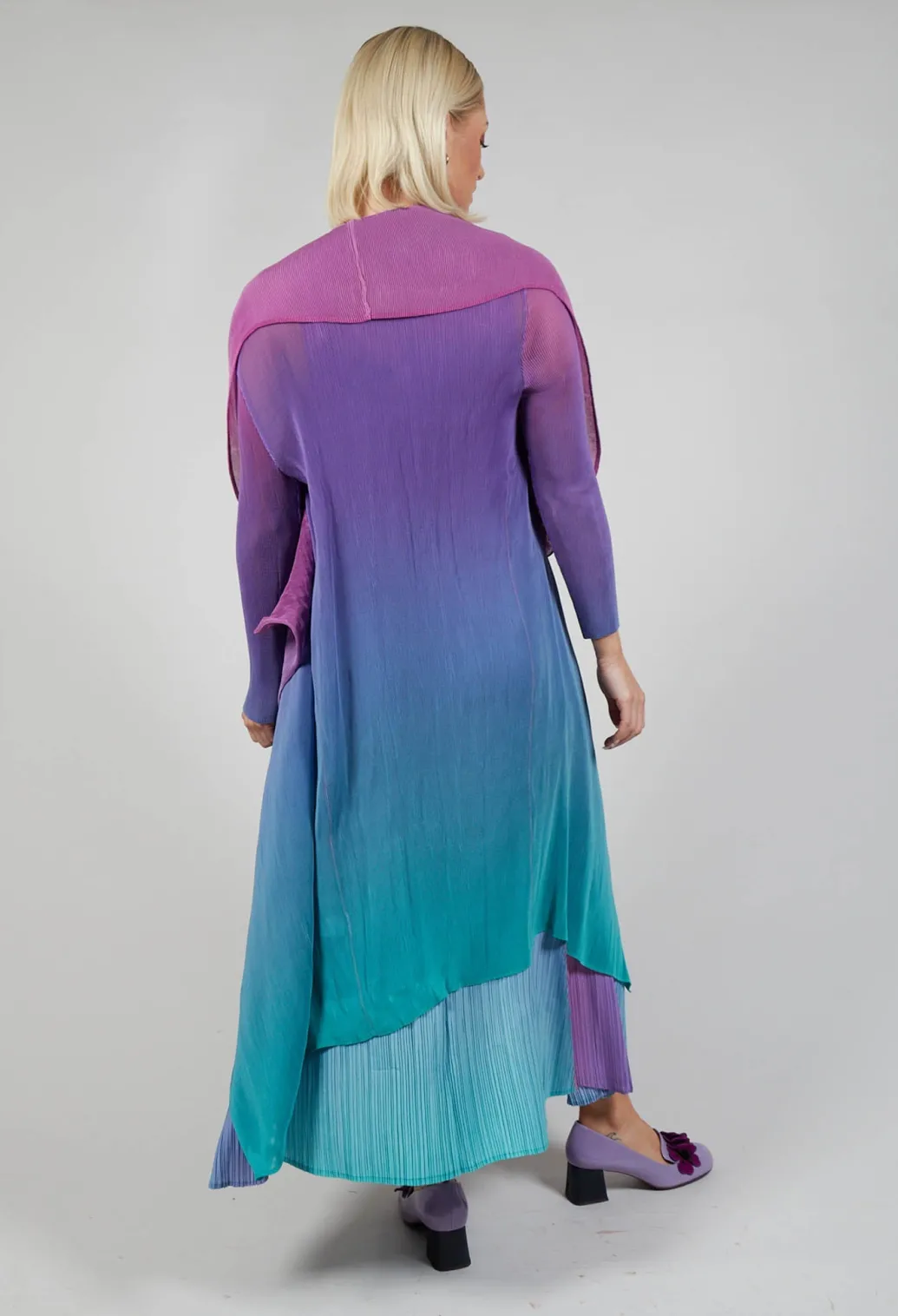 Collare Coat in Northern Lights