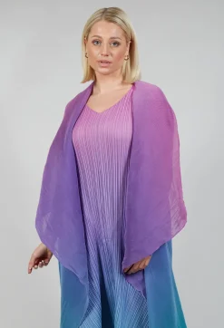 Collare Coat in Northern Lights