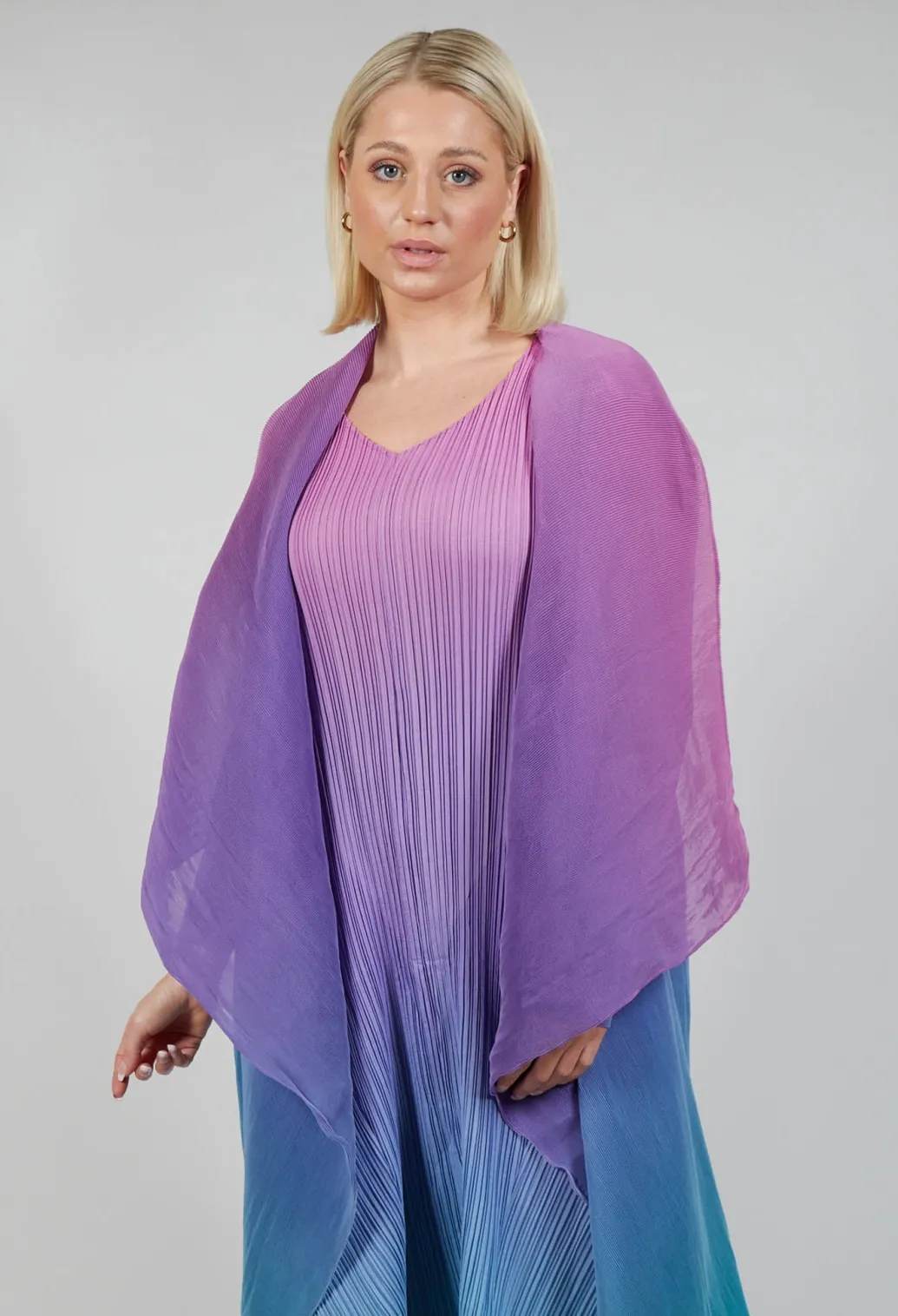 Collare Coat in Northern Lights