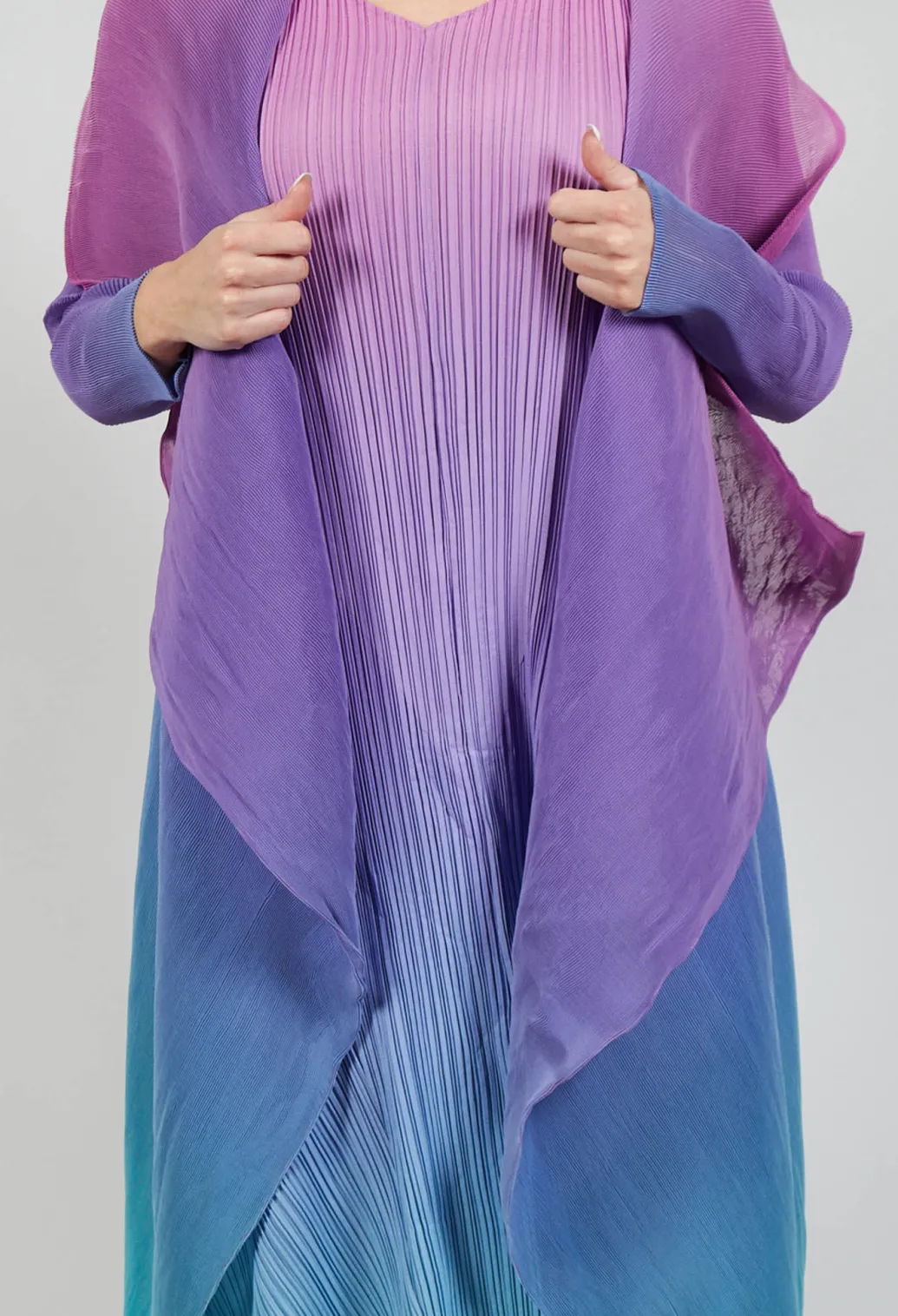 Collare Coat in Northern Lights