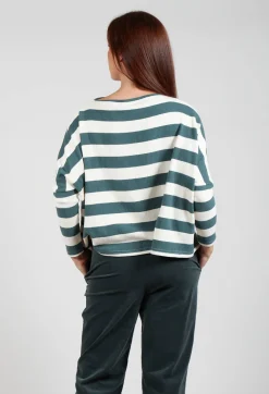 Contrast Stripe Jumper in Riga Agave