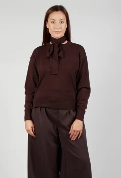 Crew Neck Jumper with Tie Neck in Java