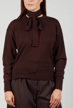 Crew Neck Jumper with Tie Neck in Java