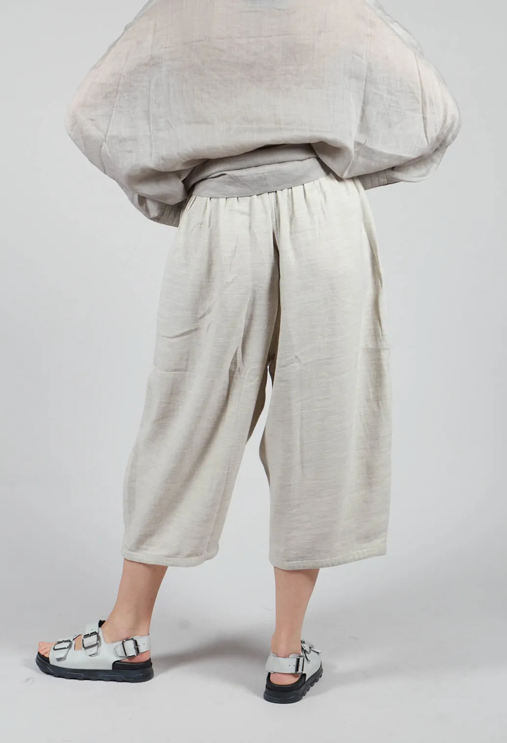 Cropped Wide Leg Trouser in Beige