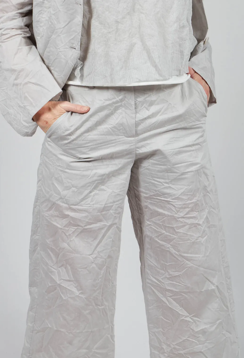 Delta Trouser In Birch