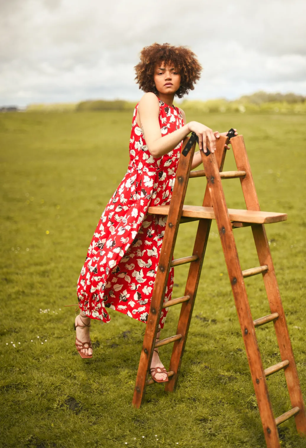 Flared Cotton Dress in Squirrel Print