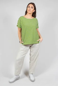 Ibisco R Stripe T-Shirt in Avocado