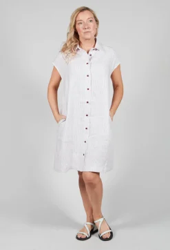 Isard Dress in Violette
