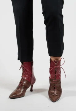 Lace Up Ankle Boot Heels in Marrone / Fuxia