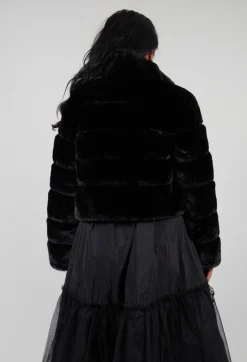 Lamar Jacket in Noir