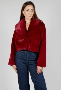 Lambada Jacket in Bordeaux