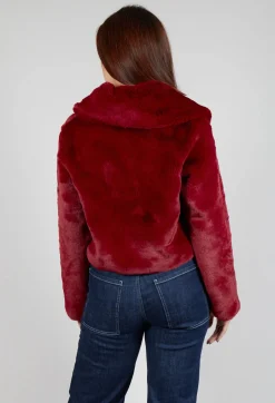 Lambada Jacket in Bordeaux