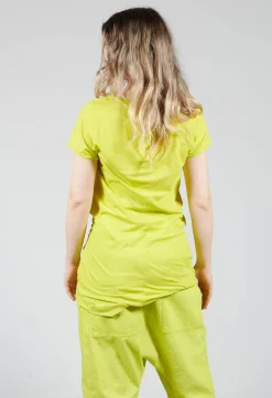 Long Length Short Sleeved T Shirt in Spring