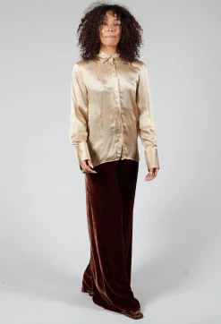 Long Sleeve Shirt in Champagne
