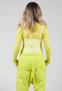 Long Sleeved Net Top with Cotton Bands in Spring