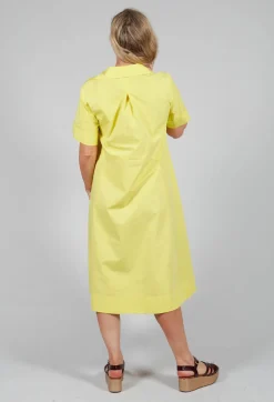 Pleats & Lace Dress in Sunflower