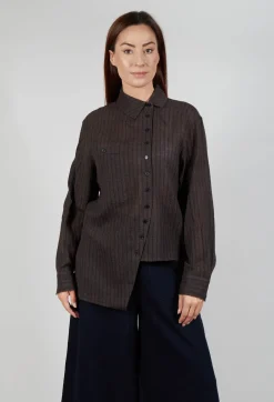 Point Collar Shirt in Brown Stripe