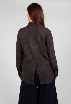 Point Collar Shirt in Brown Stripe