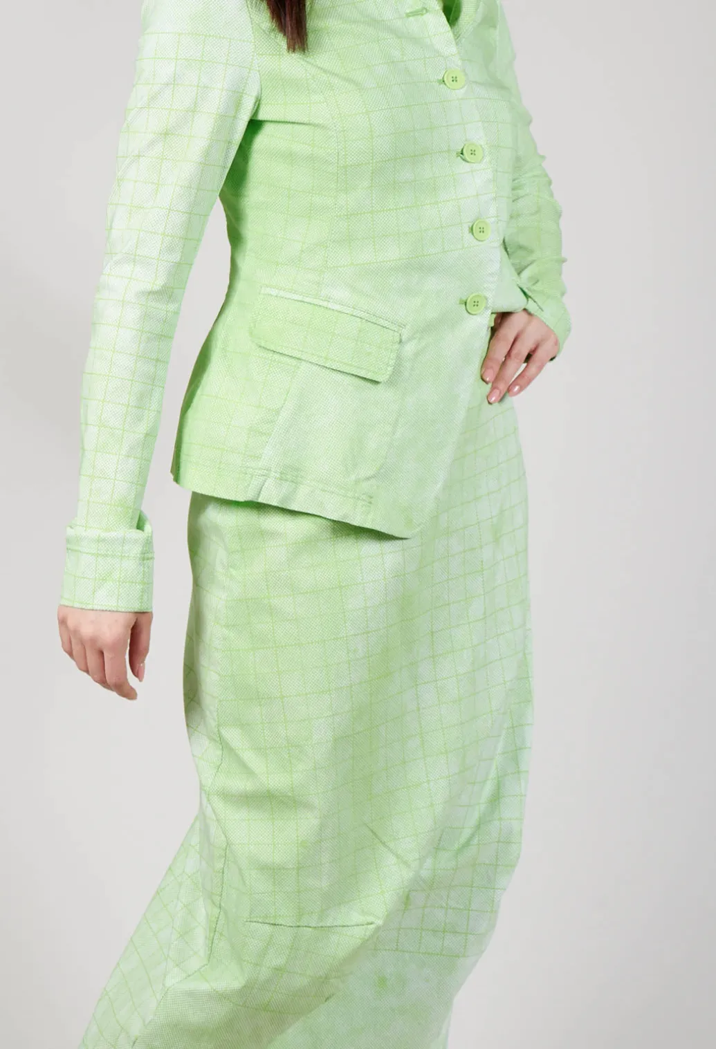 Pull On Fitted Skirt in Lime Print