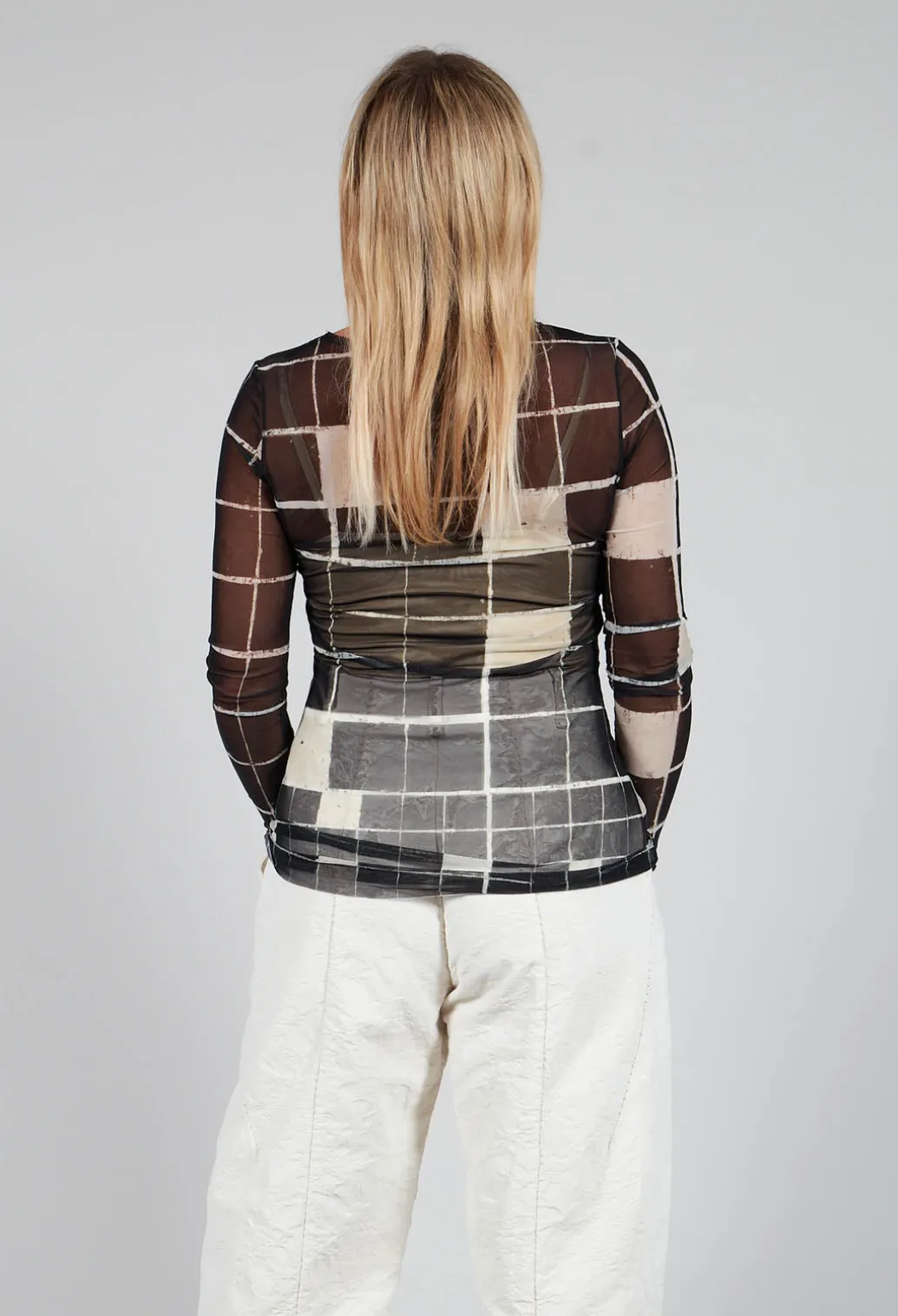 Sheer Mesh Long Sleeve Top in Single Variant