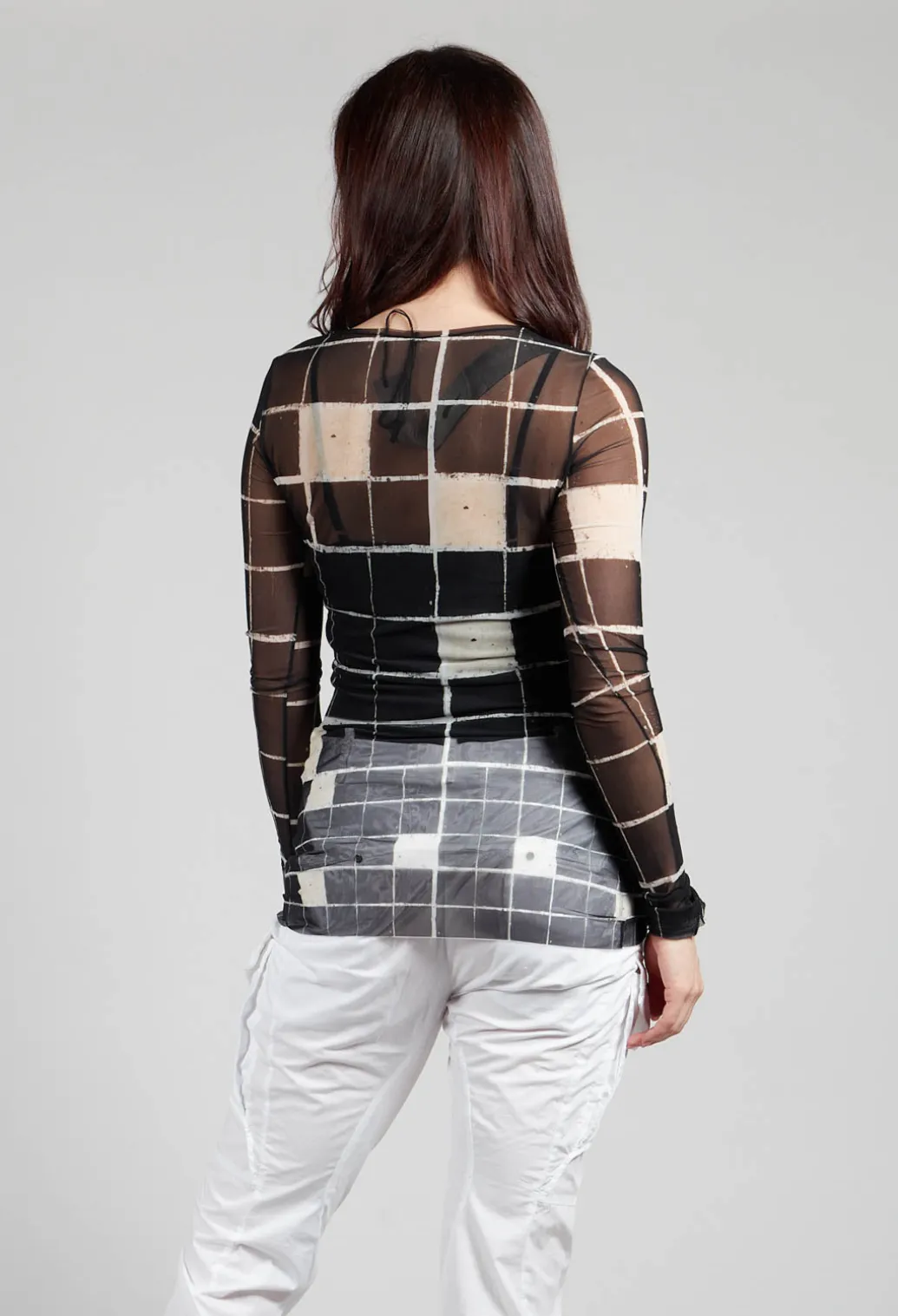 Sheer Mesh Long Sleeve Top in Single Variant