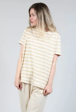 Short Sleeve T-Shirt in Honey