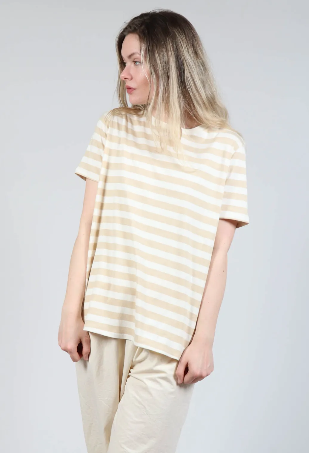 Short Sleeve T-Shirt in Honey
