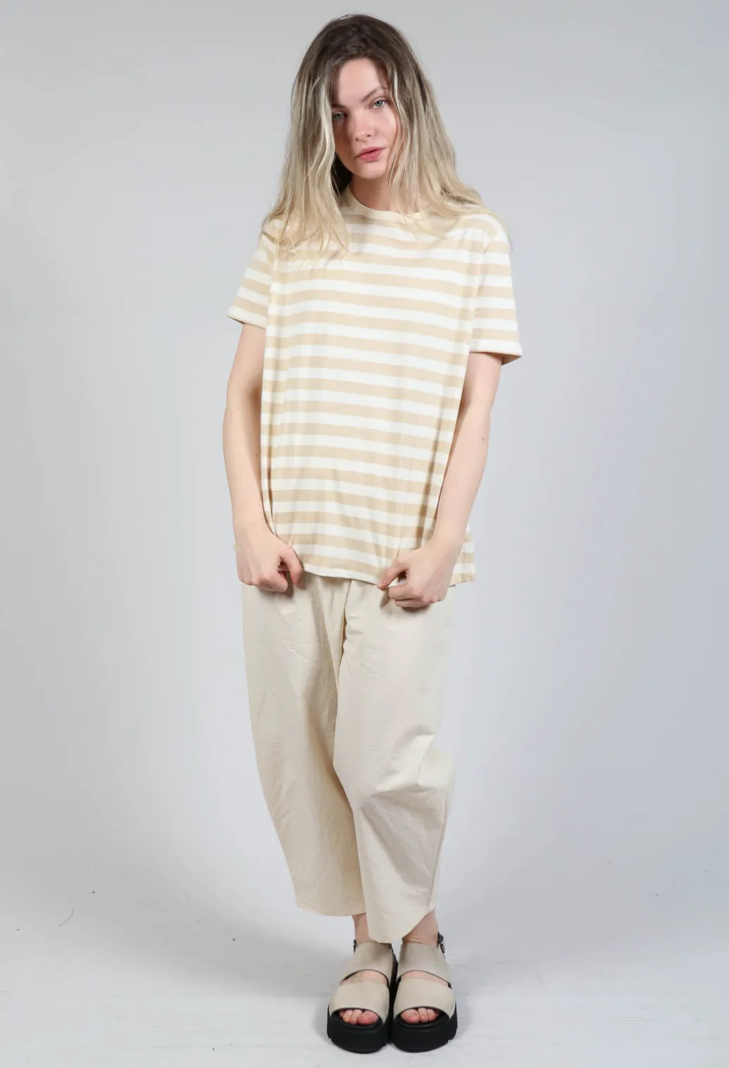 Short Sleeve T-Shirt in Honey