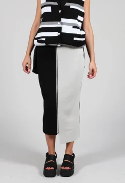 Stitch Pencil Skirt in Black and Silver
