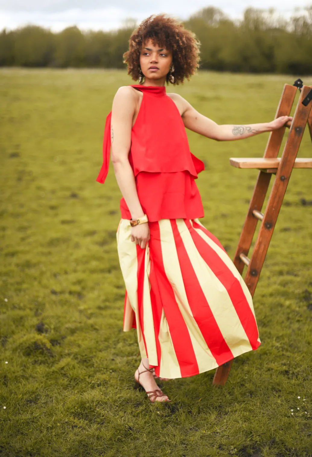 Striped Skirt in Line Print