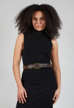 Studded Belt in Brown