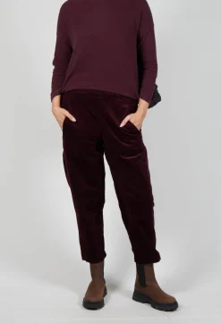 Terra V Trousers in Uva