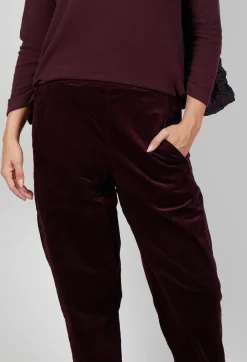 Terra V Trousers in Uva