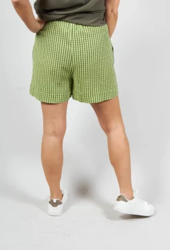 Turn Up Shorts in Green Check