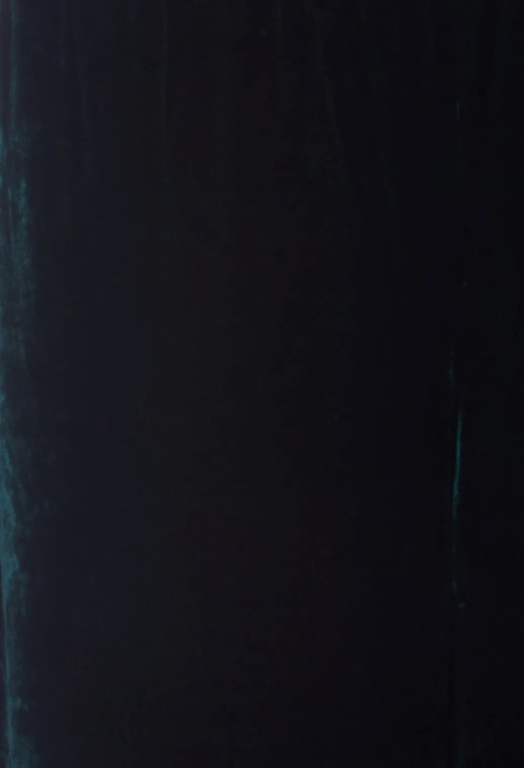 Velvet Wide Leg Trousers in Emerald