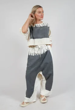 Wide Leg Trousers in Asteroid Paint